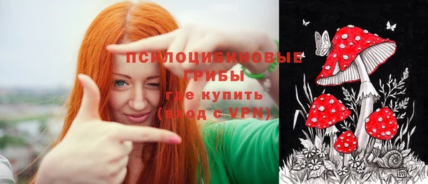 MDMA Premium VHQ Вяземский