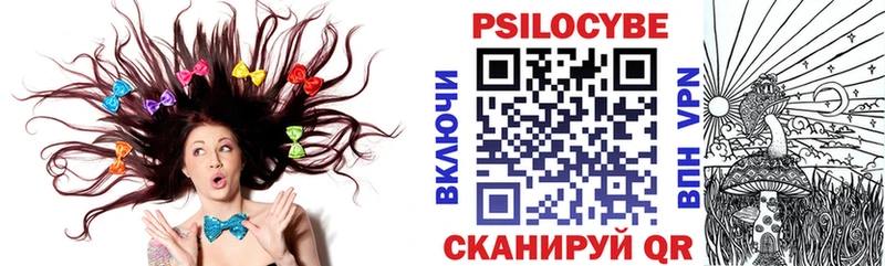 Галлюциногенные грибы Magic Shrooms  дарнет шоп  мега как войти  Зима 